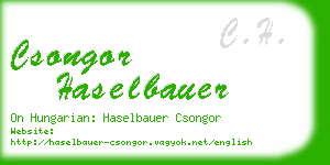 csongor haselbauer business card